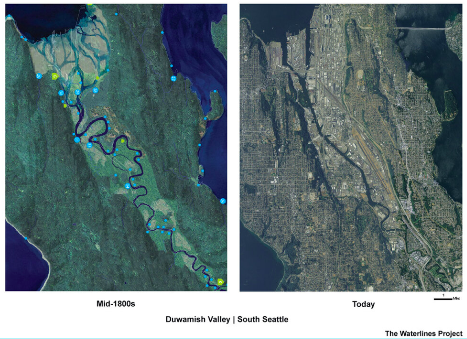 Flooding Updates — Duwamish River Community Coalition