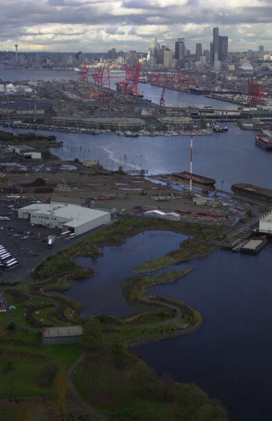 Flooding Updates — Duwamish River Community Coalition