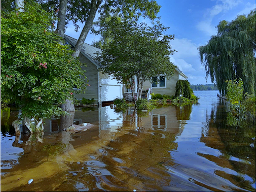 Flooding from street, August 18, 2021. Brighton, MI. Photo by Amber Bismack