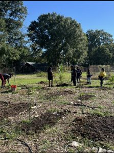 Volunteers at Great River Elders Community Gardens grow produce that is available for free to people in the community. Photo: Adrion Jones