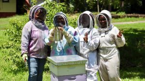 Un taller de apicultura. Crédito de la foto: Serenity Urban Wellness