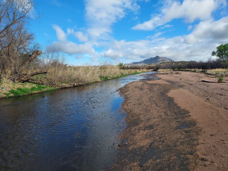 friends-of-the-santa-cruz-river1