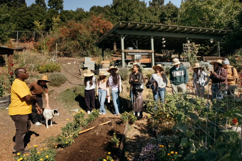 rescape-hs-students-rated-landscape-site-oct_2024_3