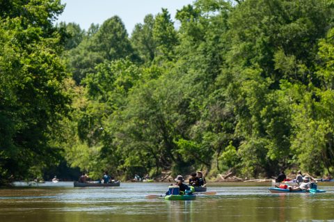 pineywoodsconservationgroup1