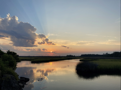 glynn-environmental-coalition-header