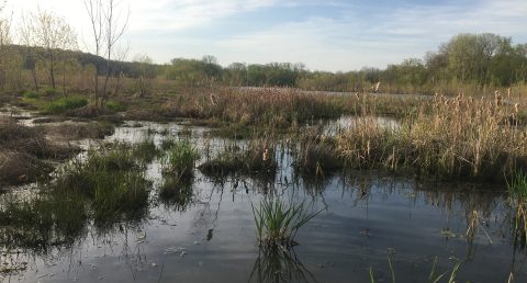 missouririverbirdobservatory1