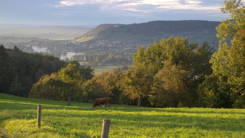 thomas-oettinger-2770-unsplash