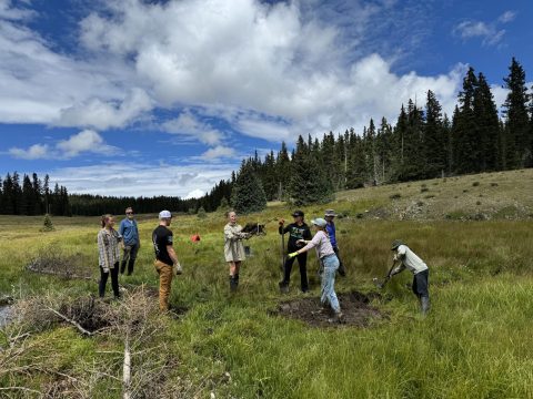 working-on-draining-at-midnight-meadows_photo-credit-rachel-conn