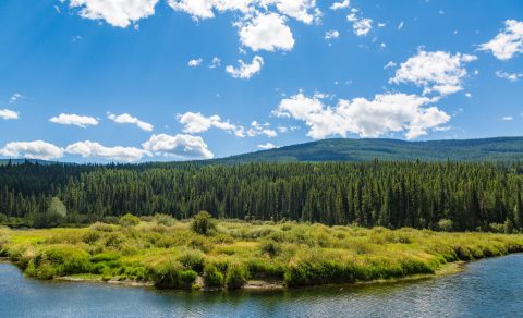 yaak-river-in-the-kootenai-national-forest-montana