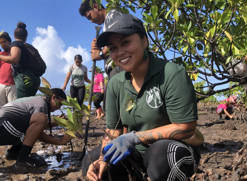 smahuka_mangrove-restoration