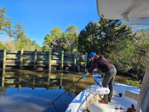 bacteria-recon-sampit_erin