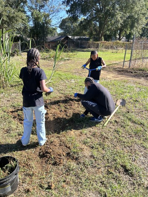 Volunteers at Great River Elders Community Gardens grow produce that is available for free to people in the community. Photo: Adrion Jones