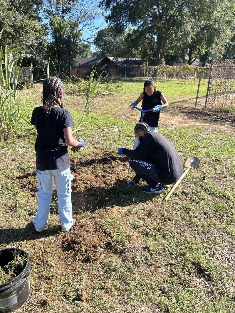 Volunteers at Great River Elders Community Gardens grow produce that is available for free to people in the community. Photo: Adrion Jones